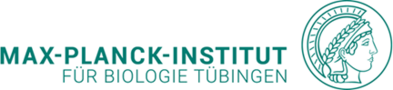 Banner logo